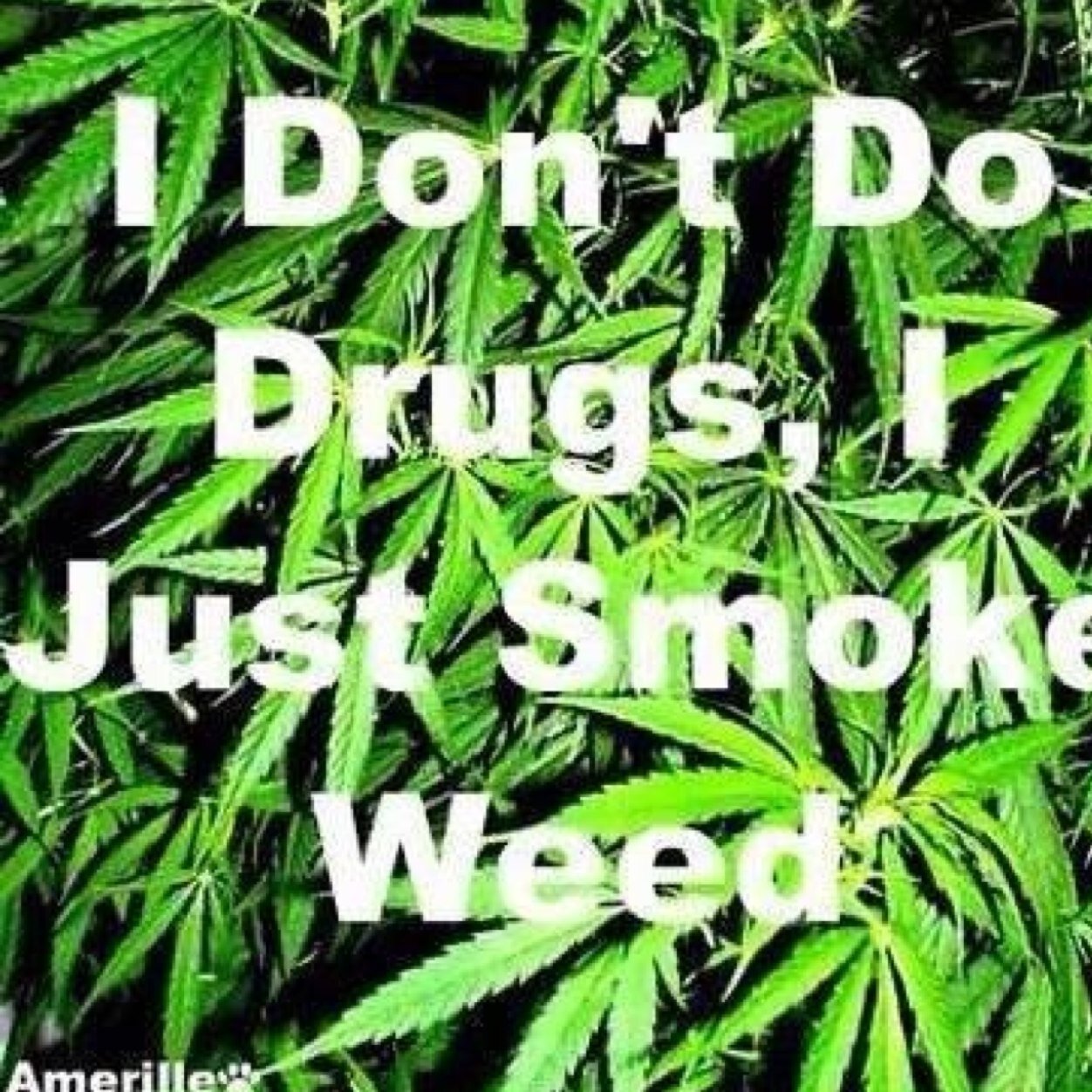 Saying it how it is !!!