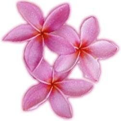 En Mon Aromaterapia se encuentran los beneficios y ventajas de los masajes con aceites esenciales
http://t.co/LPSiM7PECn