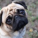 Erin Toy - @Mrserinstyles - Twitter