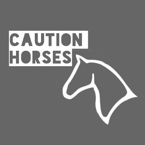 7-piece Indie/Rock/pop Band from hailing from South-East Kent.
