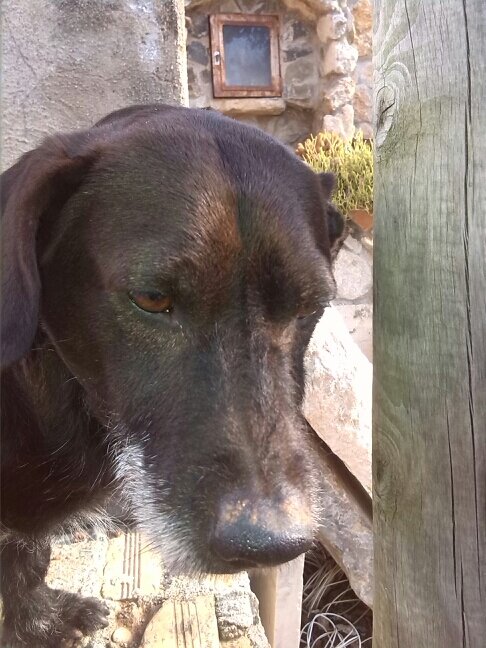 isaietes's profile picture. xbxox 360 player SMG