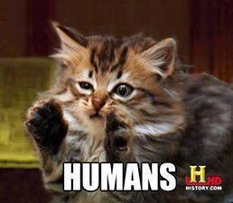 Didster716's profile picture. Loving cats, doors for some reason, gaming, Minecraft, being with friends and to eat... A lot :3.