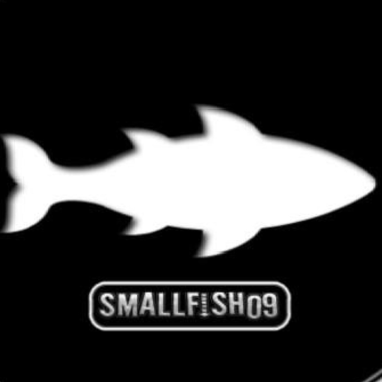 SmallFish09