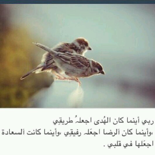 ‏‏أحفظ الله يحفظك