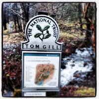 Tom Gill (@ta_gill) 's Twitter Profile Photo Tom Gill (@ta_gill) 's Twitter Profile Photo