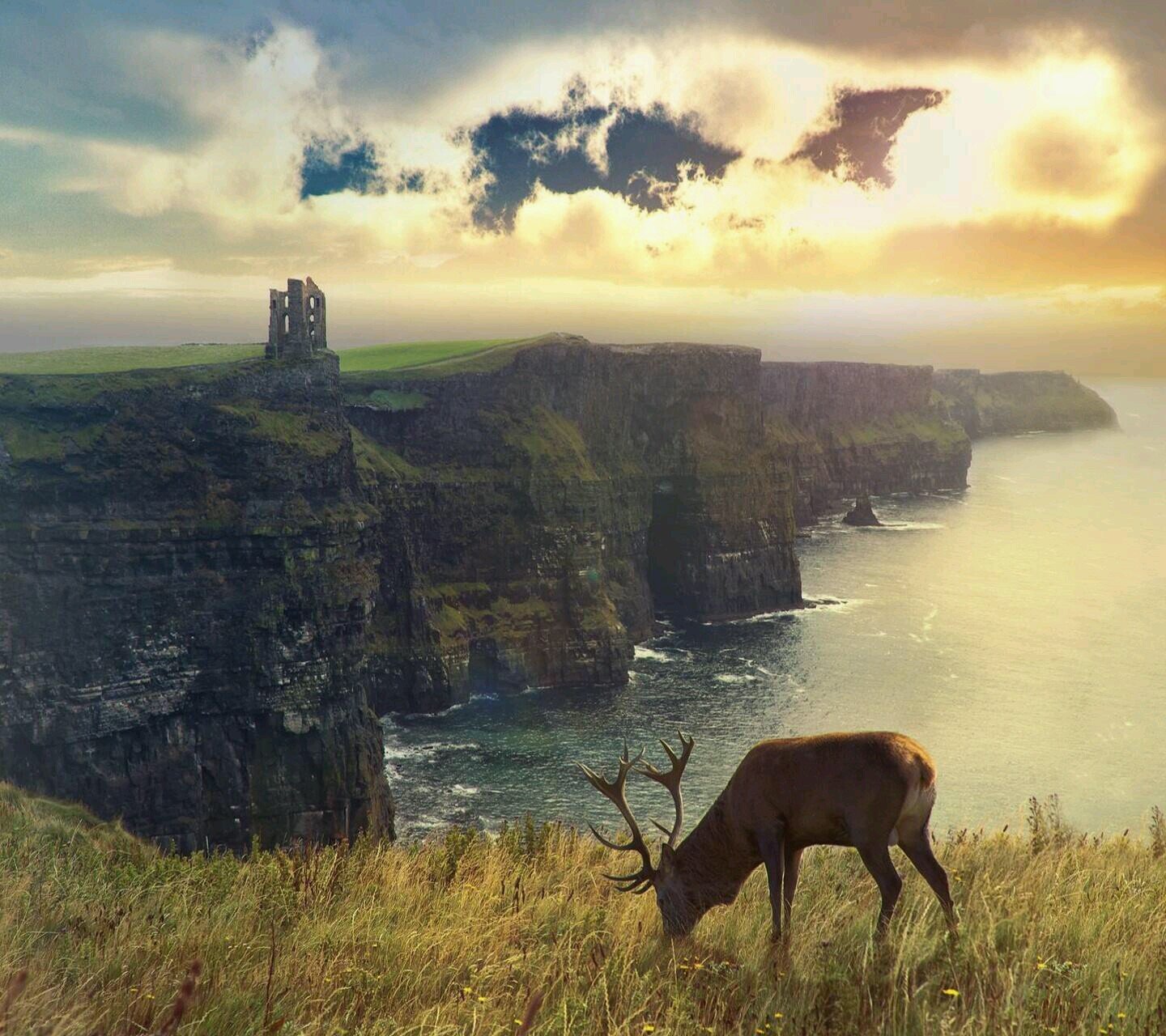 annaniki08's profile picture. 