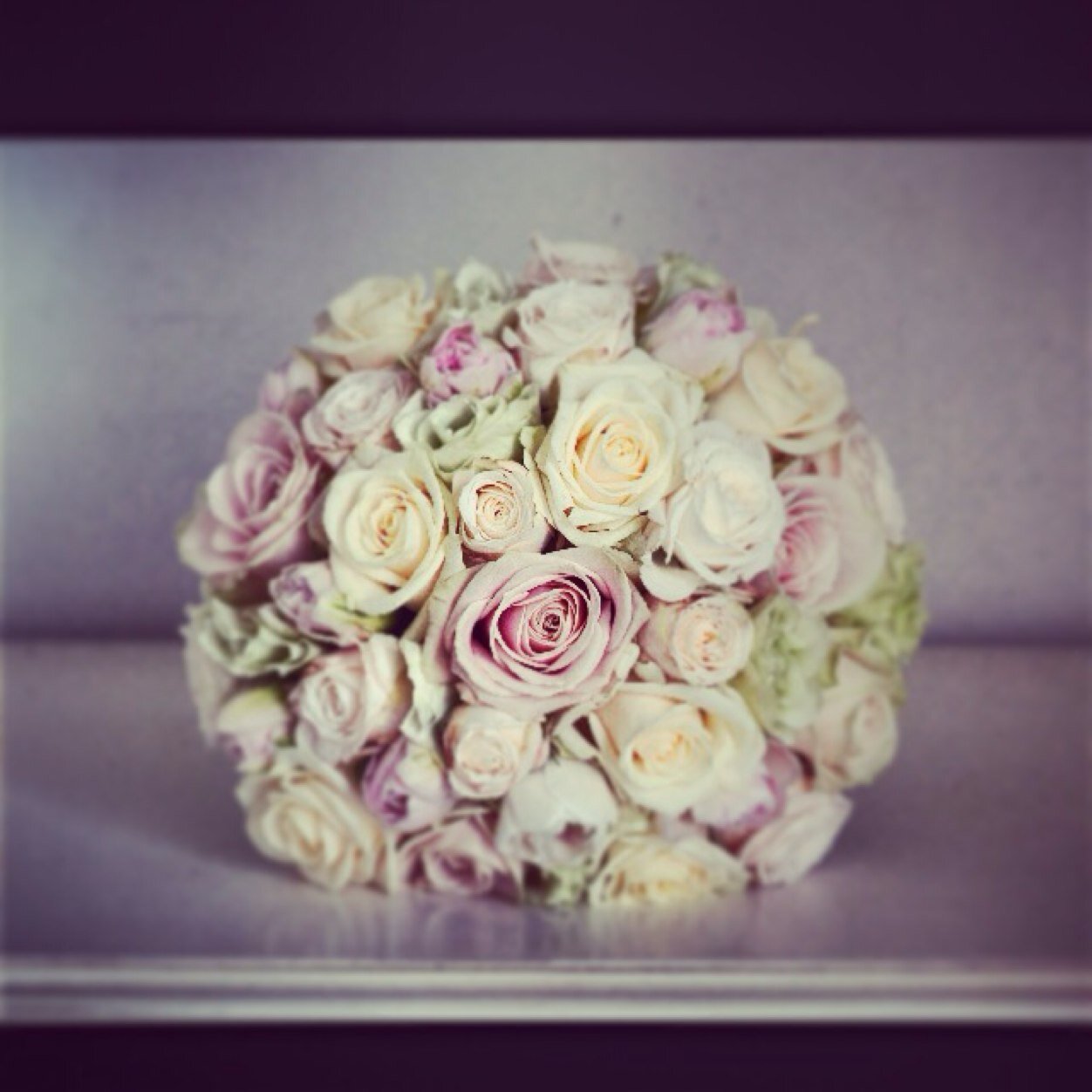 RoseBowerflower's profile picture. 