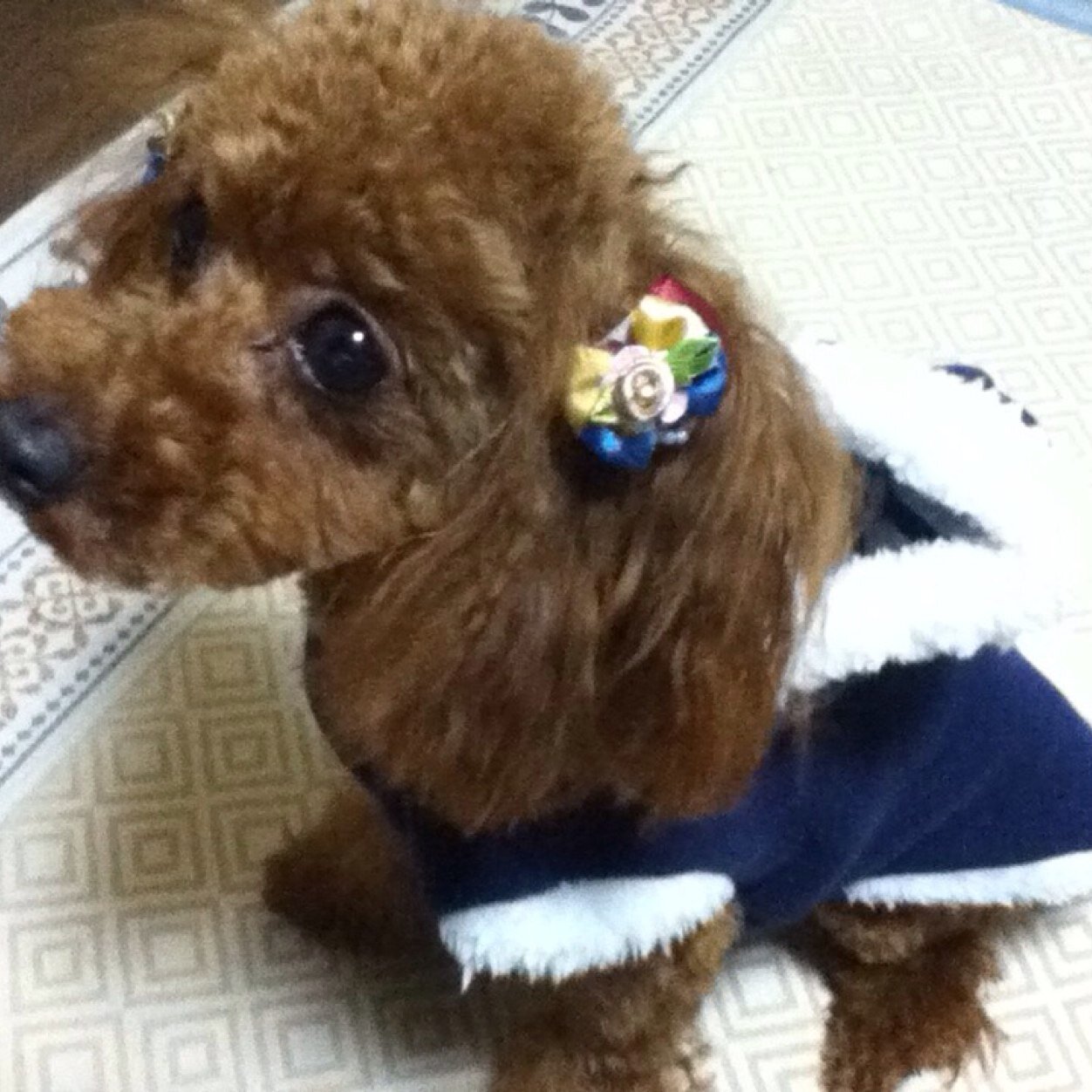 kemaeri's profile picture. 