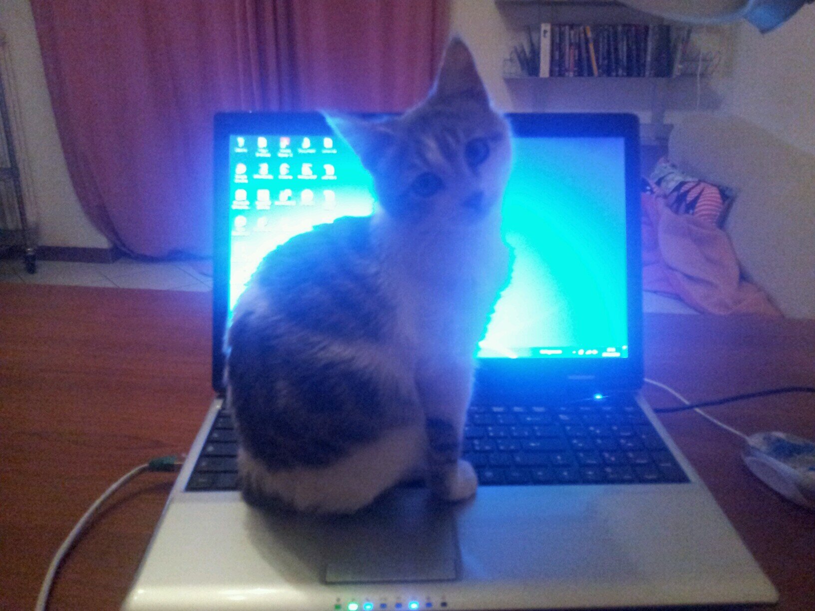 mimmo_conti's profile picture. 