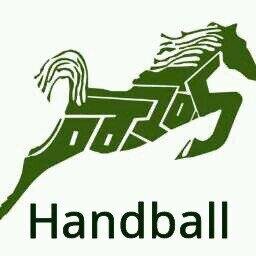 Sitio Oficial de la Selección Universitaria de Handball UAEMéx