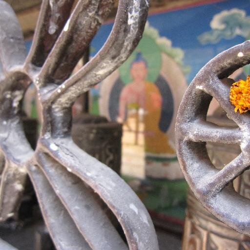 listeriaspp's profile picture. Cientista que acredita que a Terra é redonda, e que a COVID e outras doenças infectocontagiosas são a única forma da natureza lutar contra a imbecilidade humana