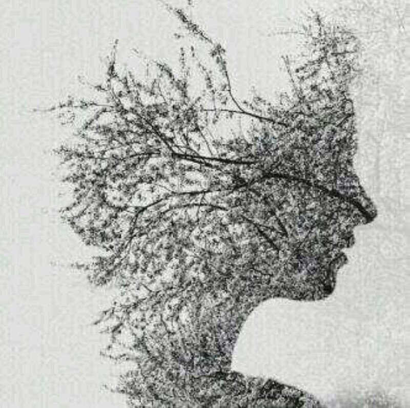 nine_4k's profile picture. I know myself as a crazy ... having lots of ups and downs person :) I'm human more than usual