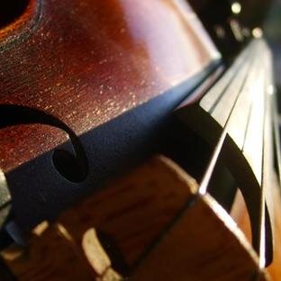 Bishop Dunne Strings are gutsy creators of musical beauty, committed to using our gifts well and serving others. Ms. Gray-Lion (Dir) http://t.co/KTWTt0yloU