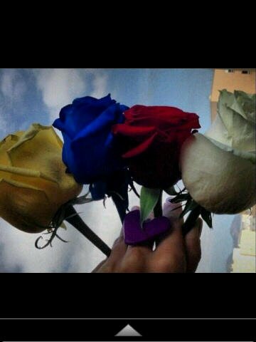 Abogado, a luchar por la justicia! Vive Feliz!!