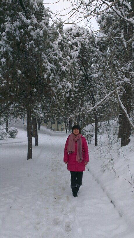 FengWubian's profile picture. 