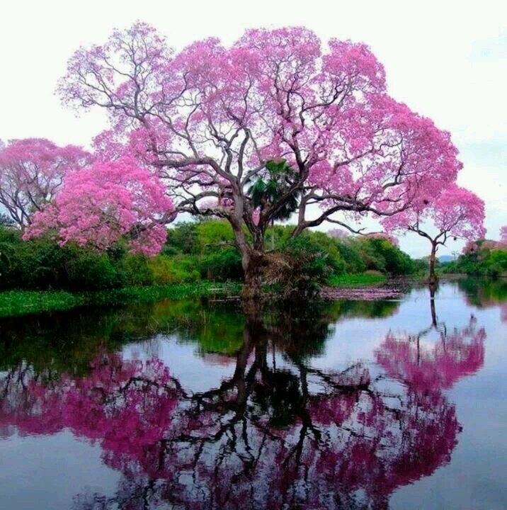 lfreeman16's profile picture. 