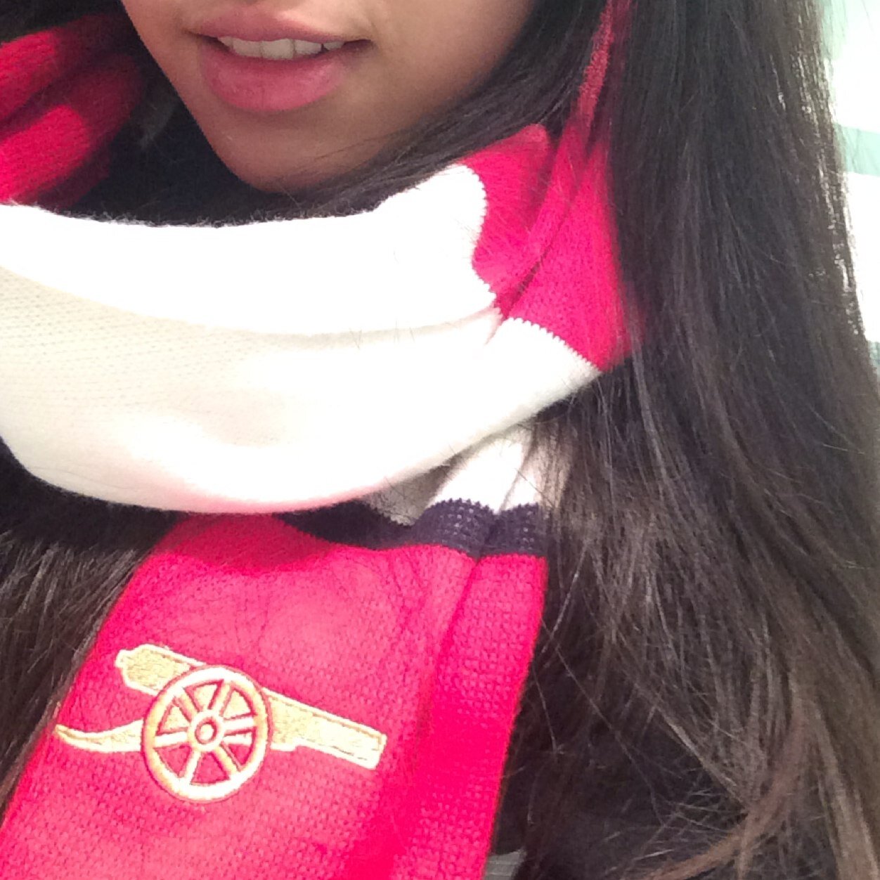 Fanatic gooner from the North bank, living in England :) Tend to tweet in Korean mostly!