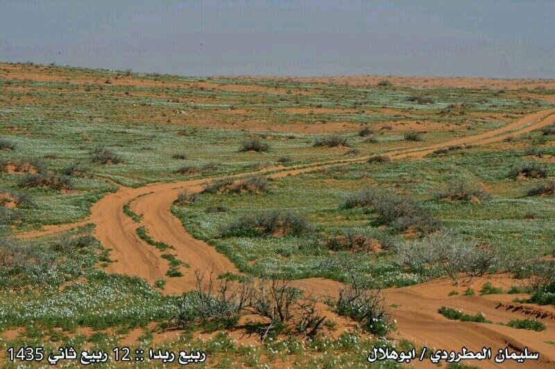 A33846455's profile picture. 