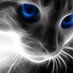 Nikita Toretto (@jeremynikita) Twitter profile photo