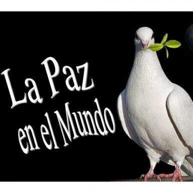 Tenemos que conseguir la Paz en el Mundo. Si queremos un mundo mejor, tiene que existir el amor. La violencia solo lleva a más violencia. Denunciemos el mal.