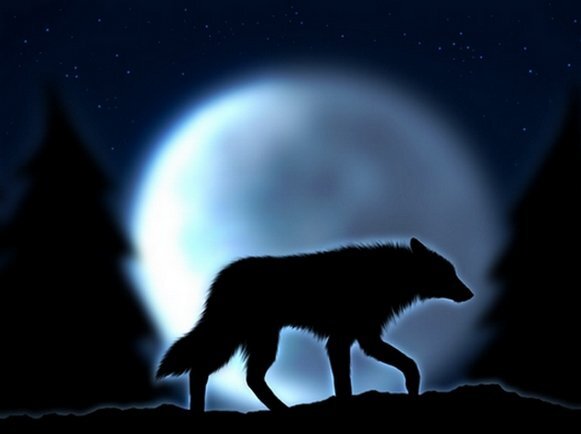 aivaz1234's profile picture. 