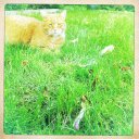 Marie Trudeau - @trudodu18 - Twitter