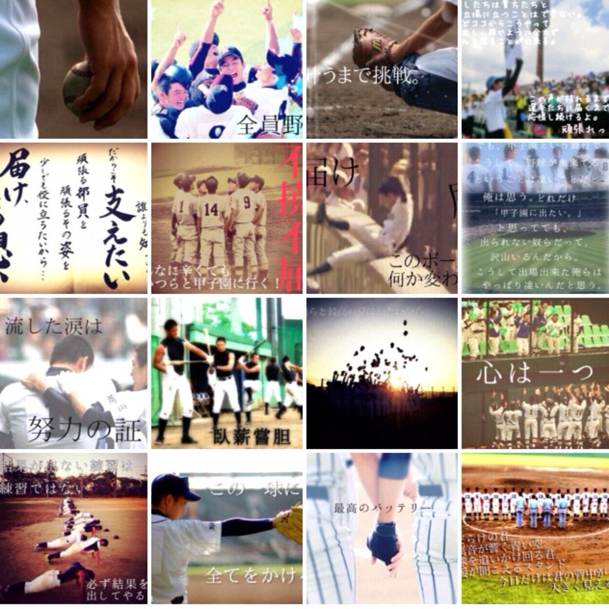 高校野球 Big love 野球垢⚾️ 兵庫；沖縄；明徳；PL；etc…♡ 兵庫の高2