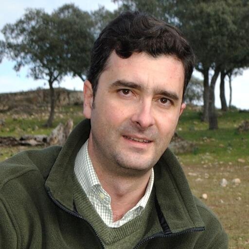 Ingeniero de Caminos, Canales y Puertos. geoxauen.es