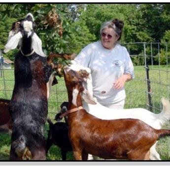 Living in the country fulfills most of my dreams – they keep expanding. Those of being surrounded by animals, working from home, and having quality writing time