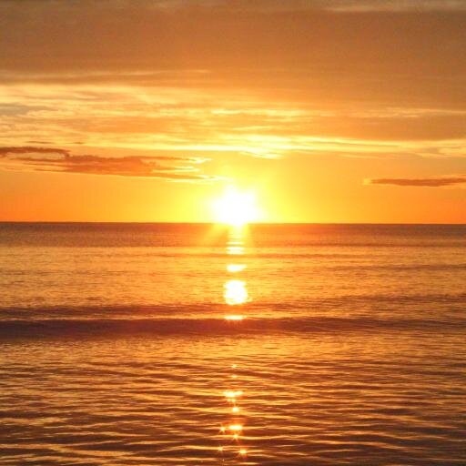 lapaorivera's profile picture. La gratitud es la memoria del corazón.