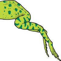Leapfrog Marketing (@leapfrogm) 's Twitter Profile