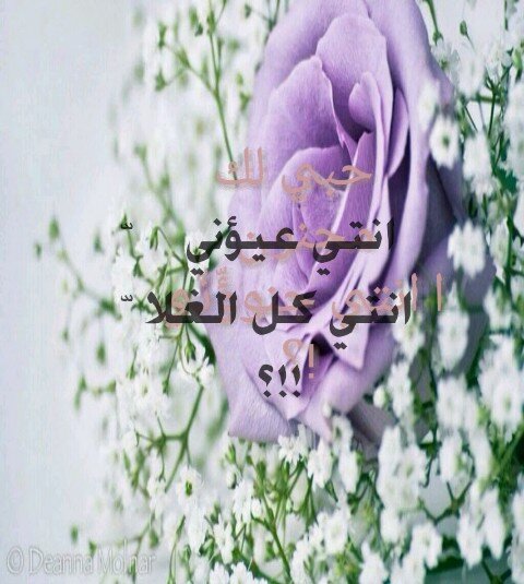 اّحّبّ مّنّ يباّدّلنّيّ غّراّميّ واّحساّسّيّ ياّمنّ سّكنّ قّلبيّ وعمرّيّ واّحزّانّيّ