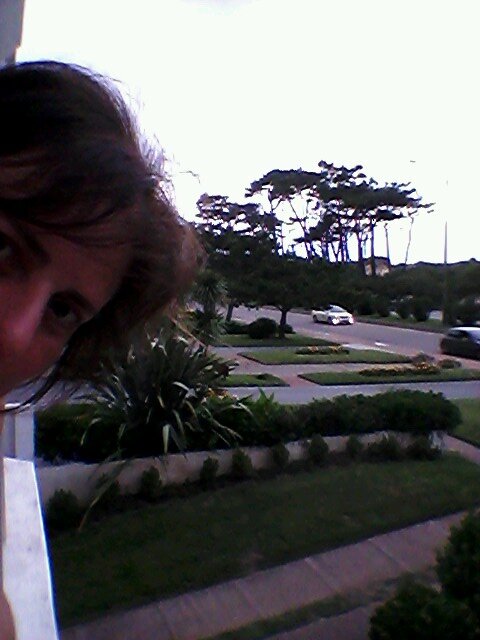 lealaur's profile picture. Abogada. Aprendiendo a escribir en 140 caracteres