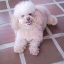 Luchadora (@587_a) Twitter