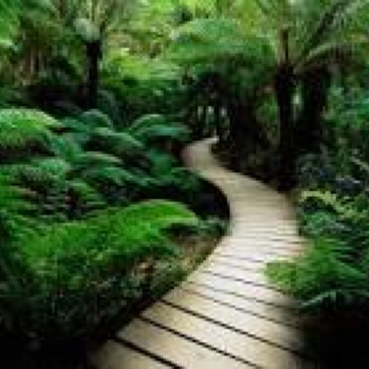 FunOutdoor's profile picture. 