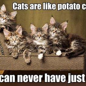 holyroller54727's profile picture. I'm married to a wonderful man. I have 2 great sons and 2 wonderful daughterinlaws. and 7 grand children:)