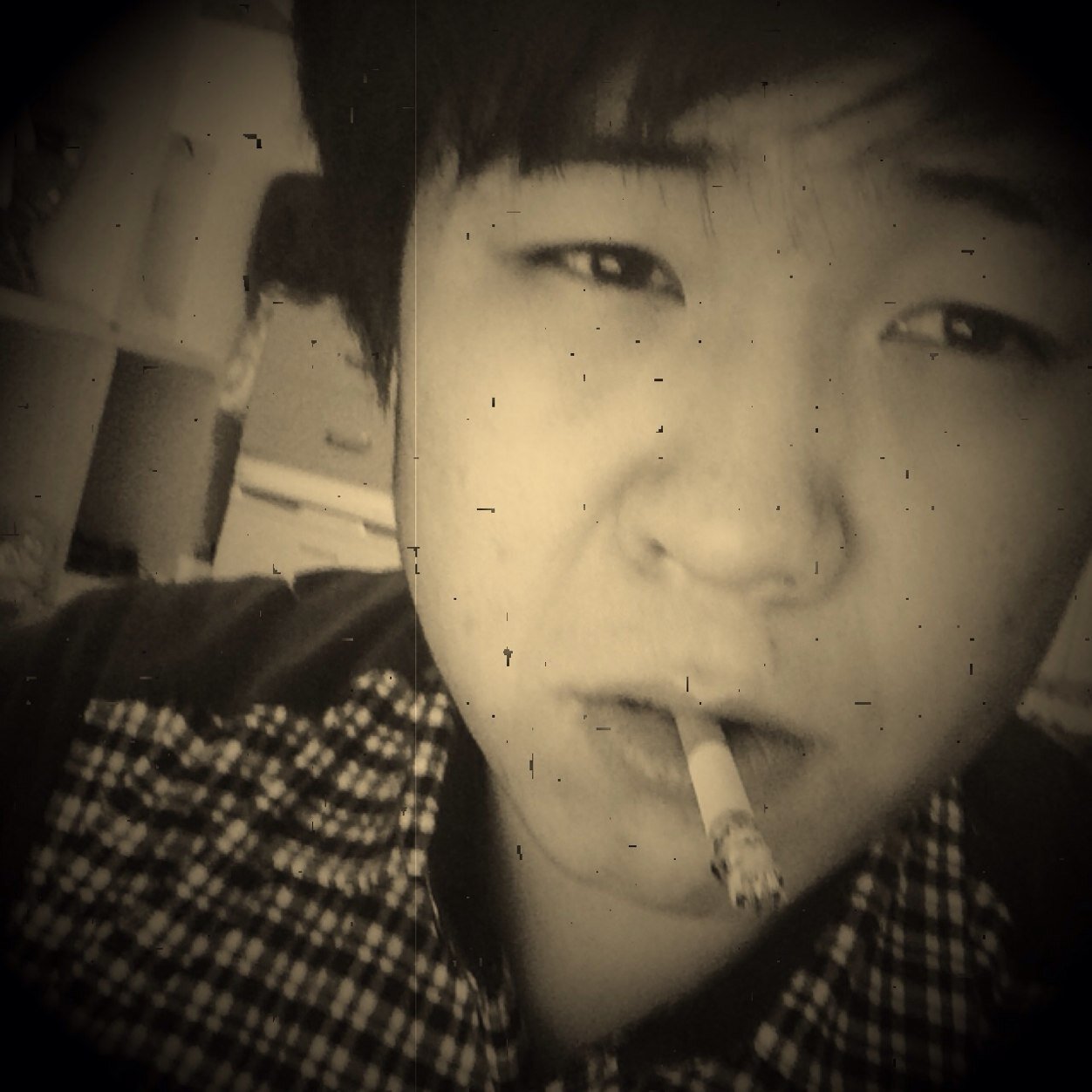 喜爱纽约巨人