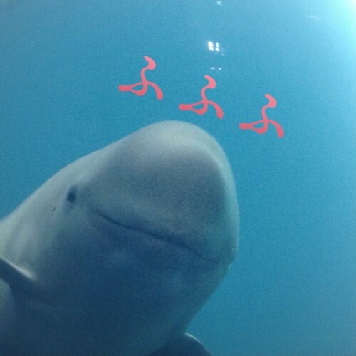 hana0211k's profile picture. 