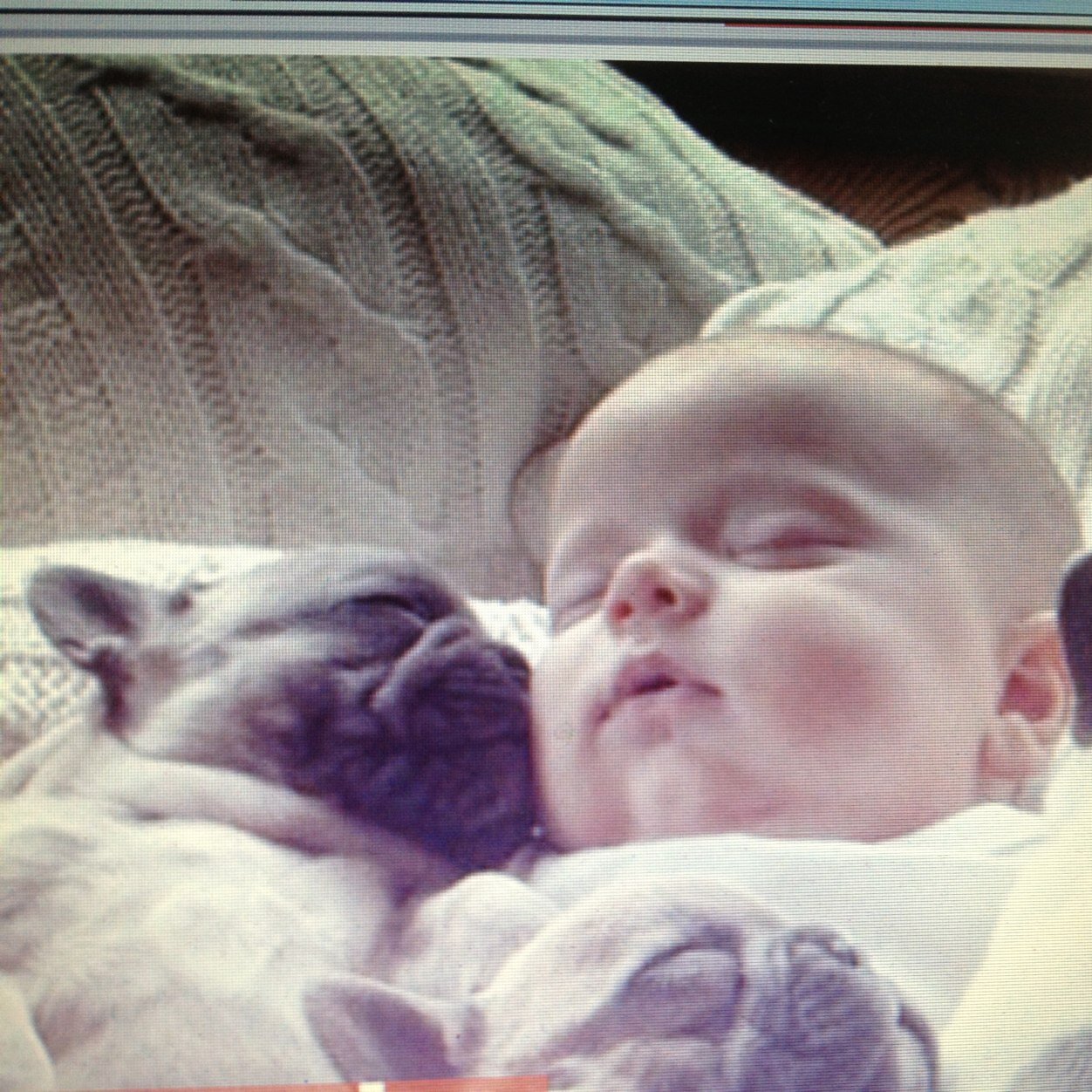 hcoskun8's profile picture. 