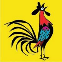 SouthernSquawk (@southernsquawk) Twitter profile photo