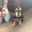 Deborah Copeland - @copeland_ds - Twitter