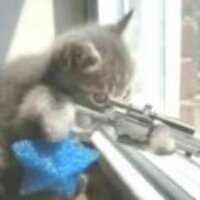 gabriel (@melenadealmagro) 's Twitter Profile Photo gabriel (@melenadealmagro) 's Twitter Profile Photo