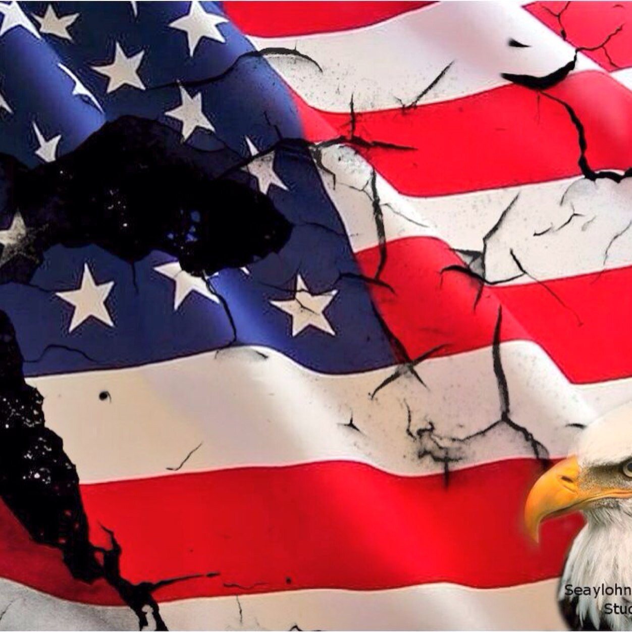 america_future's profile picture. 