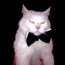 Bart Hill - @BartomiejGill - Twitter