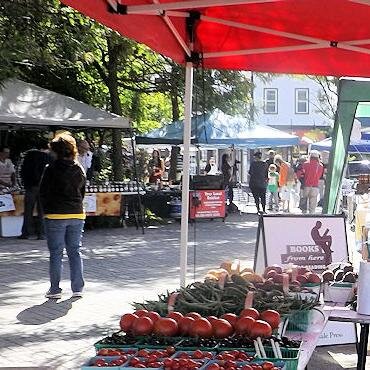 PortElginBIA's profile picture. 