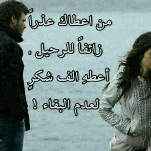 الاحلام شورمة والواقع عدس ...