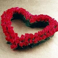 Motivasi Cinta (@motivasicintamu) 's Twitter Profile Photo