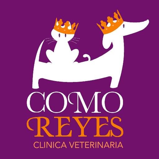 CVCOMOREYES's profile picture. lacayos de tus mascotas,amables con los gatos