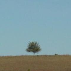 FunerariaSA's profile picture. Te enterramos