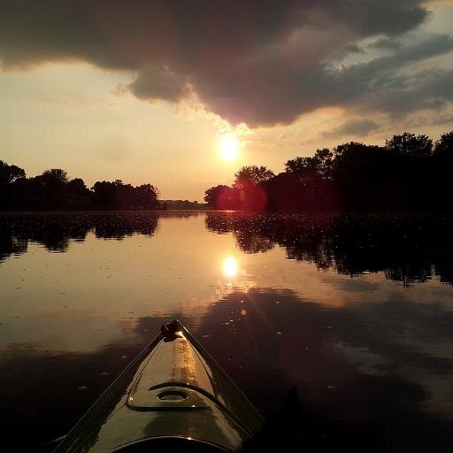 dragonflykayak's profile picture. Be Kind!